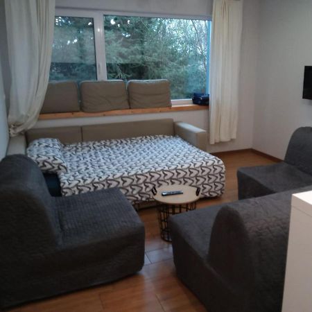 Maly Apartament W Zieleni Blisko Jeziora Środa Wielkopolska Εξωτερικό φωτογραφία